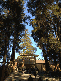 image-2.gif