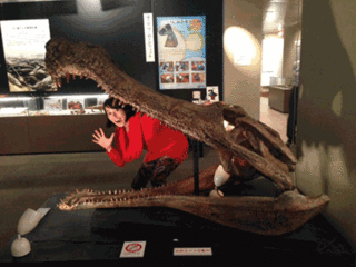 image.gif