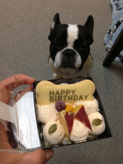 image.gif