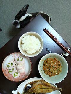 20130327_094818.jpg