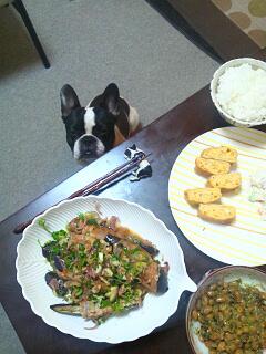 20130327_094533.jpg